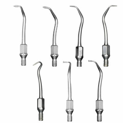 Kit De 5 élévateurs Dentaires (luxateurs) Pour Extraction - Pointe Apicale, Qualité Professionnelle