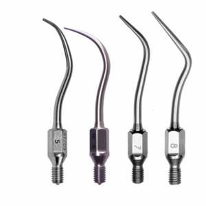 Insert Proclinic Kavo Prophylaxie